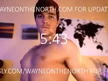 waynenorth Image 17