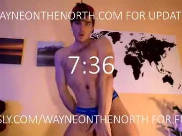 waynenorth Image 19