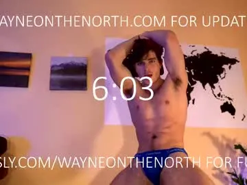 waynenorth Image 3
