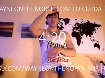 waynenorth Image 5