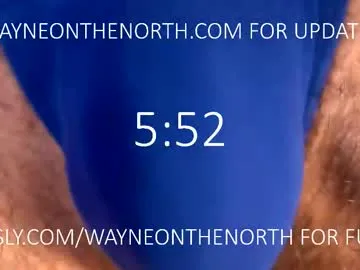waynenorth Image 9