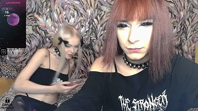 GraypacLive Image 2