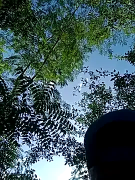 outdoors11 Image 4