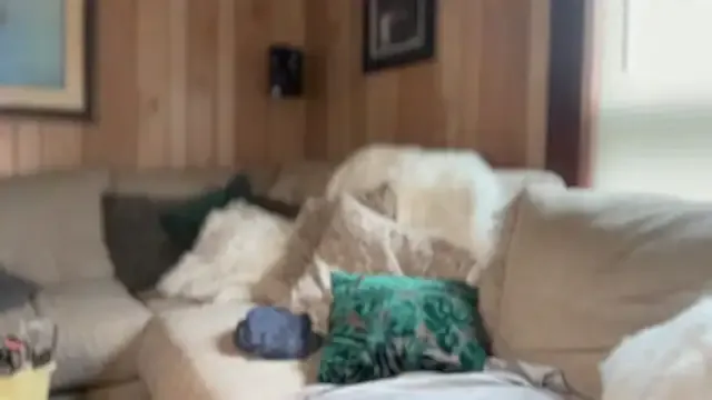 PefectNipz Image 16