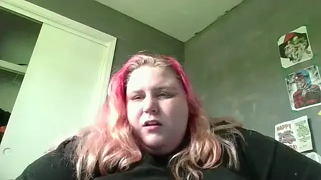 Tabbycat27 Image 5
