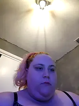 Tabbycat27 Image 6